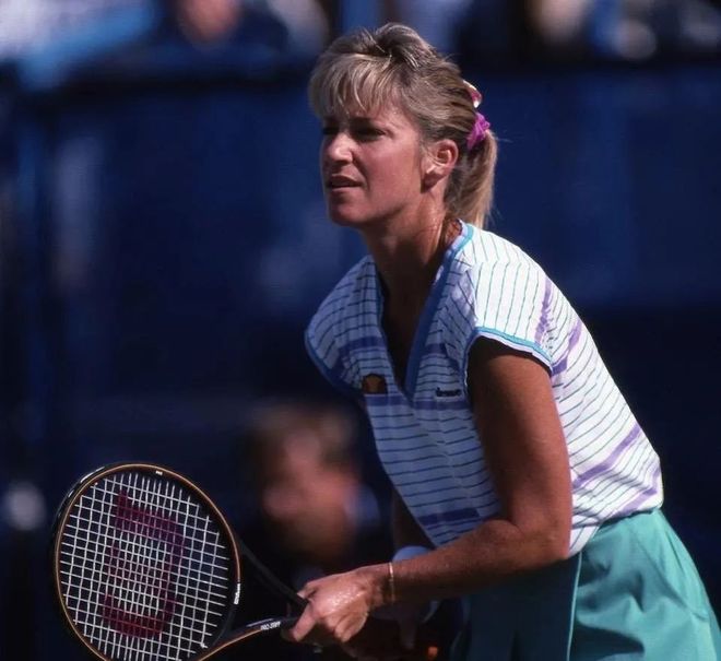 猛龙也展示 猛龙也展示