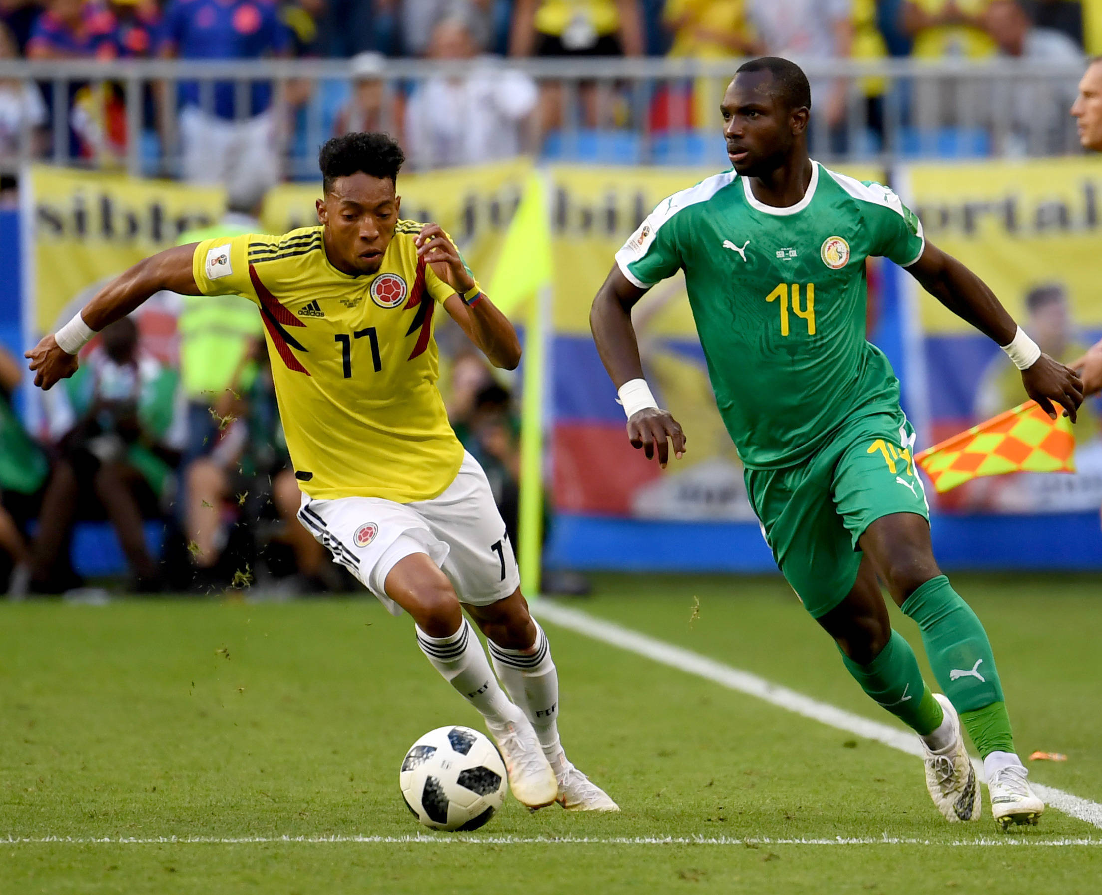 不可忽视的 不可忽视的