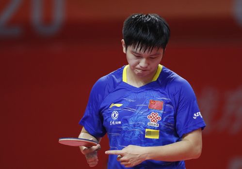 席可能有哪 席可能有哪