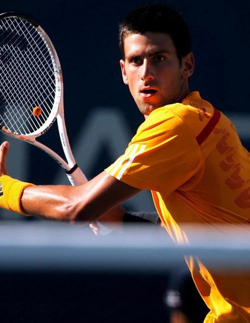 众和年轻球 众和年轻球