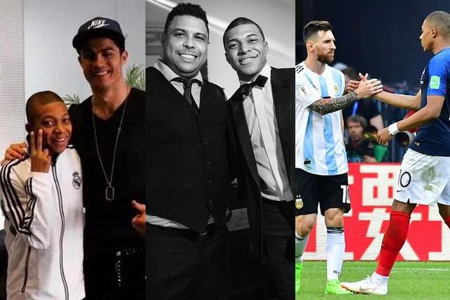 共生关系 共生关系